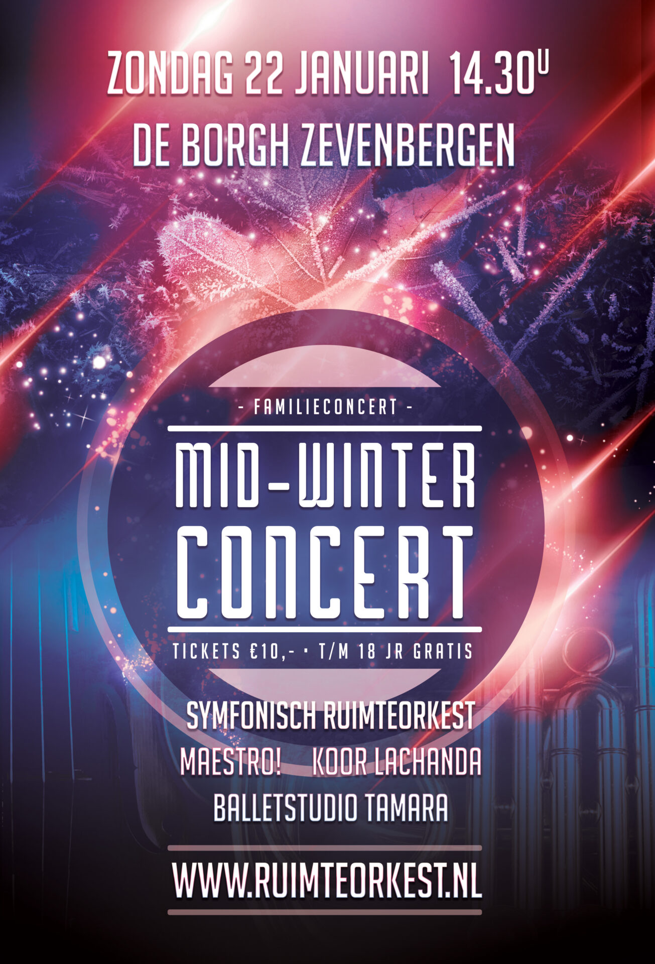 Affiche concert